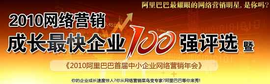 2010網絡營銷成長最快企業