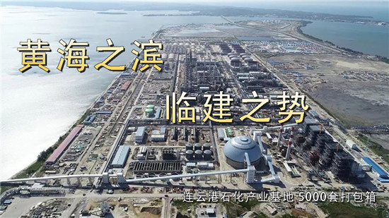 連雲港石化基地打包箱項（xiàng）目